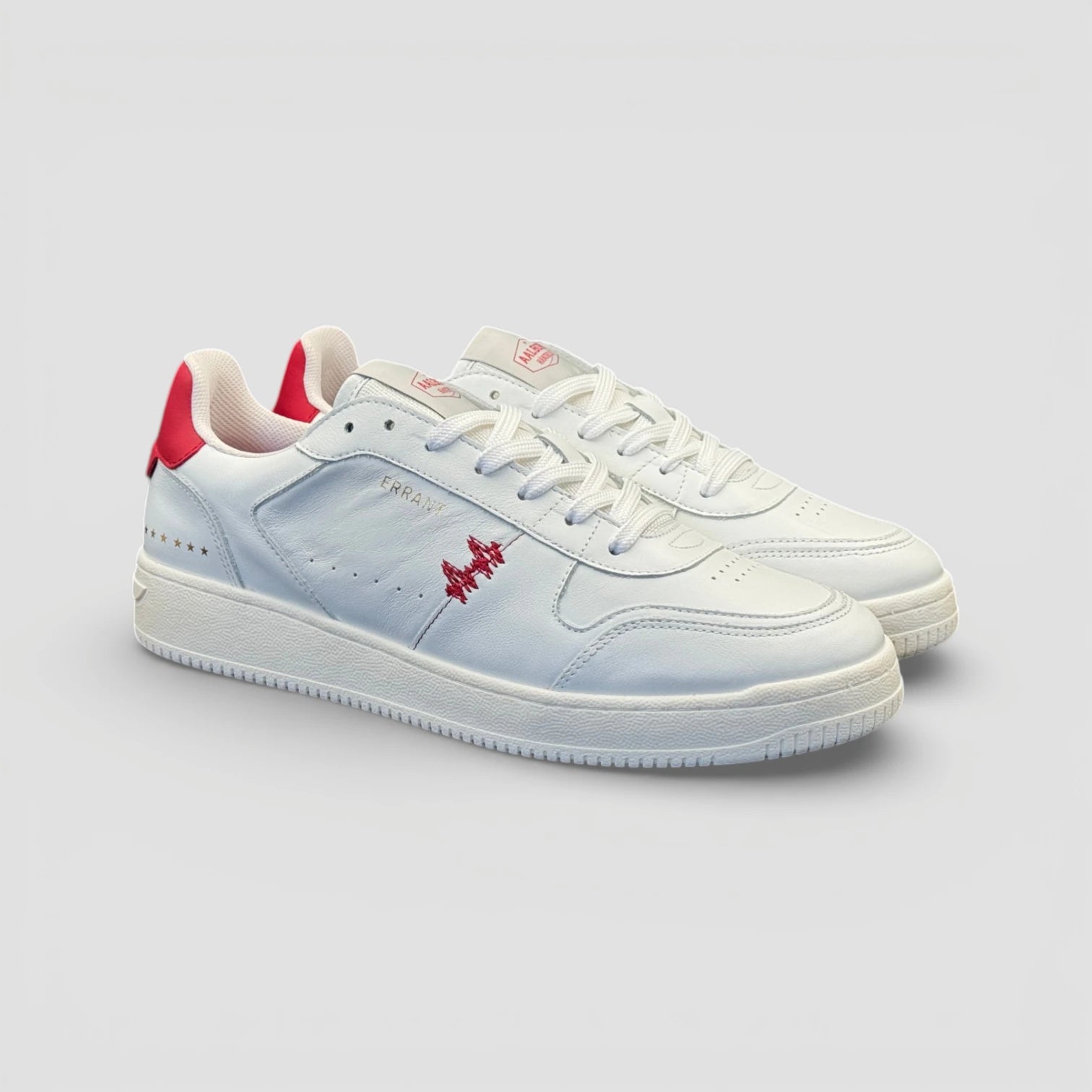 Aalborg Handball X ERRANT