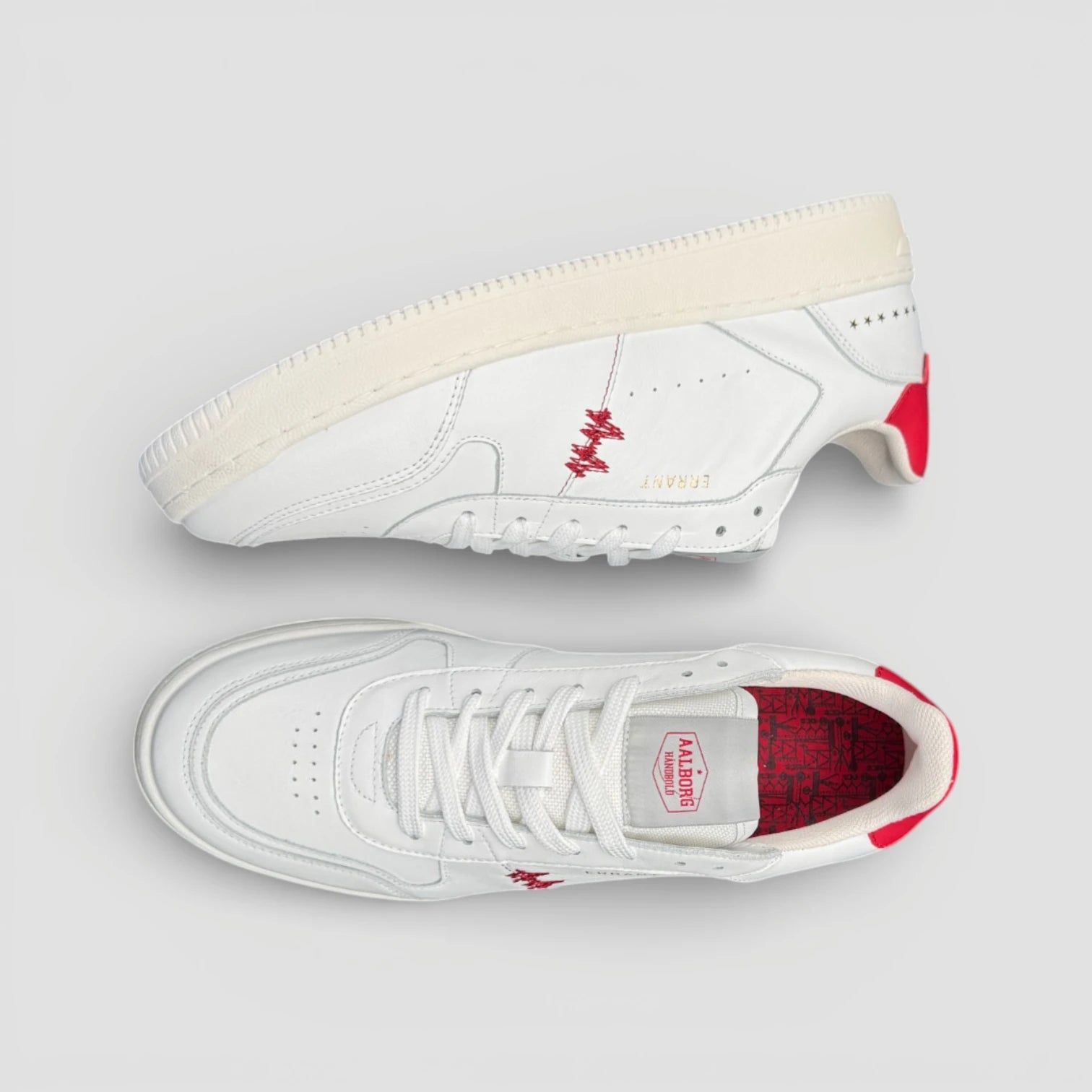 Aalborg Handball X ERRANT